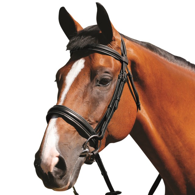 Mark Todd (Clearance) Padded Cavesson Bridle (Black)