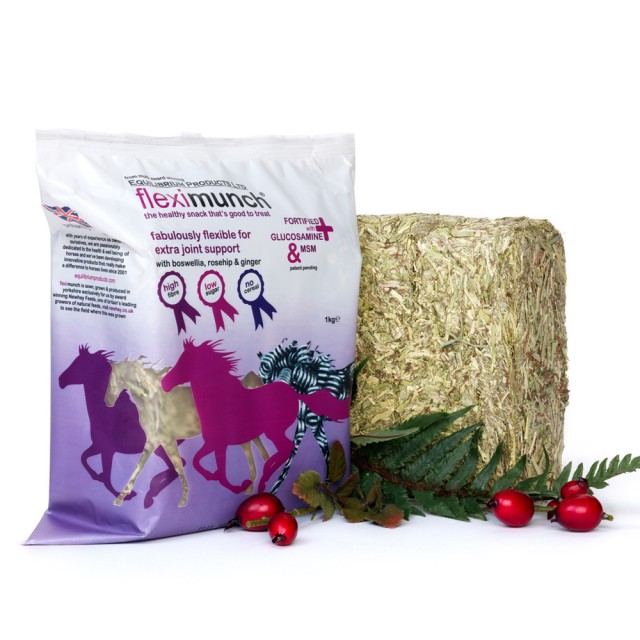 Equilibrium Fleximunch