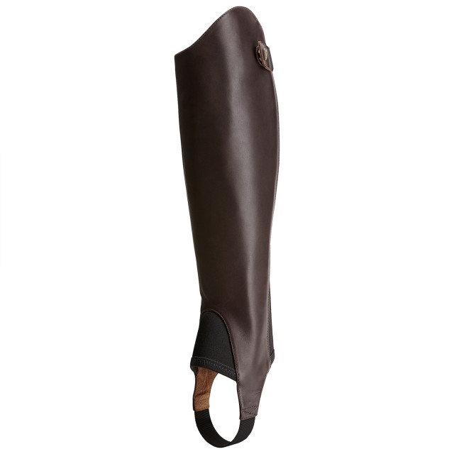 ariat contour chaps
