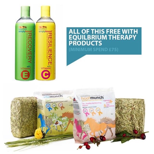 Equilibrium Therapy Bundle