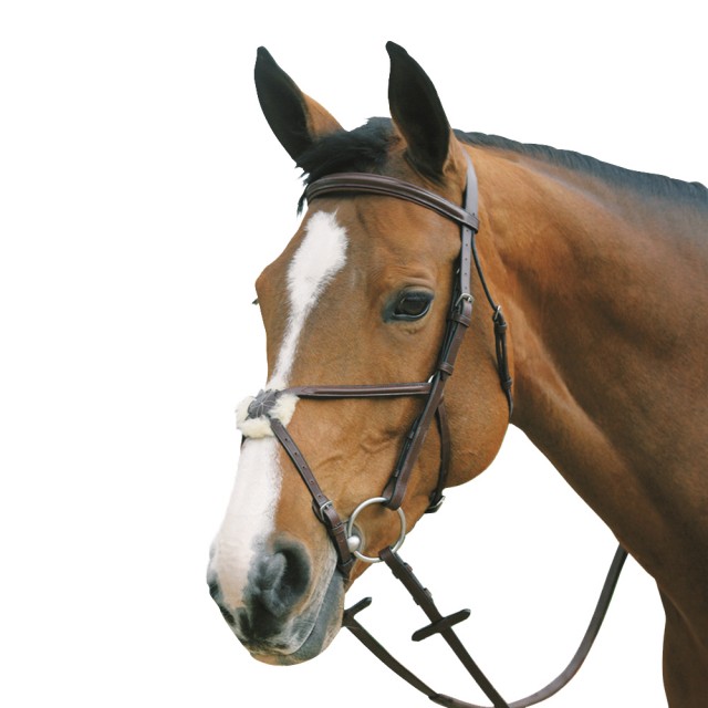 Mark Todd Plain Raised Bridle with Grackle Noseband (Havana)