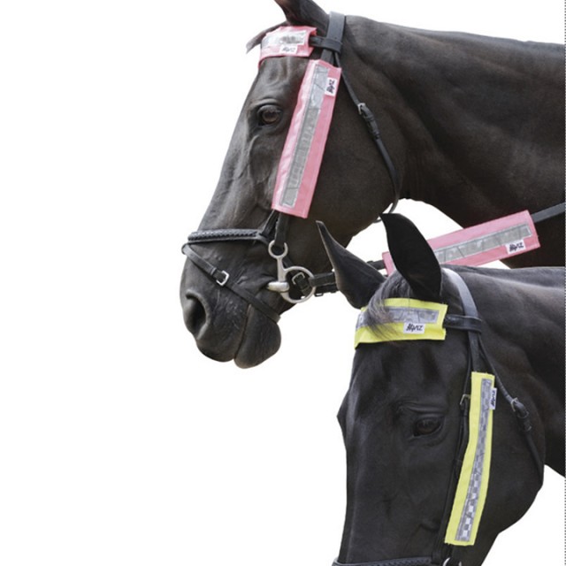 HyVIZ Bridle Set (Yellow)