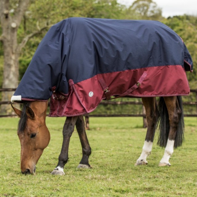 JHL Mediumweight Combo Turnout Rug (Navy & Burgundy)