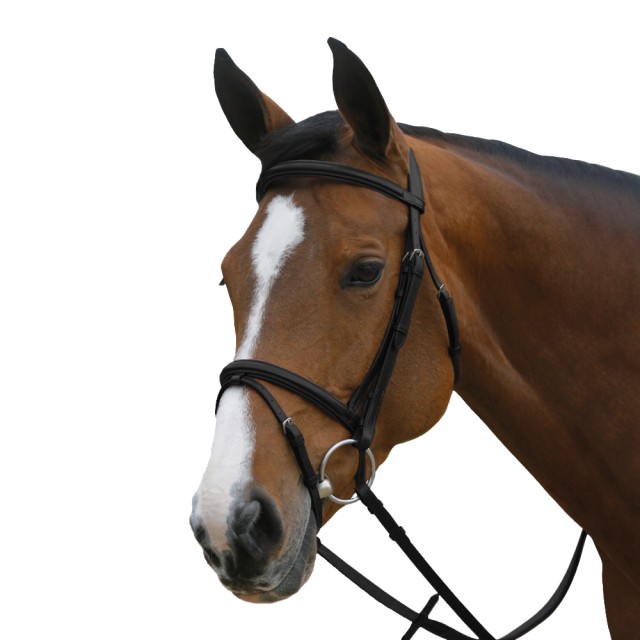 Mark Todd Square Raised Padded Bridle with Flash Noseband (Black)