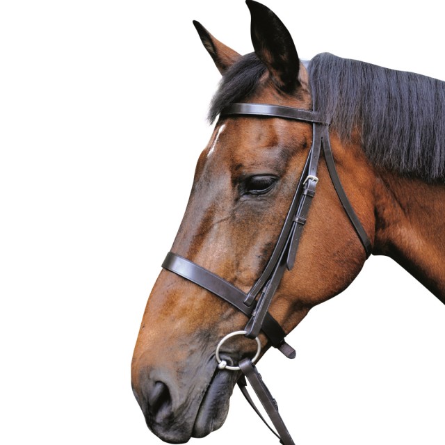 Mark Todd Hunter Bridle (Black)