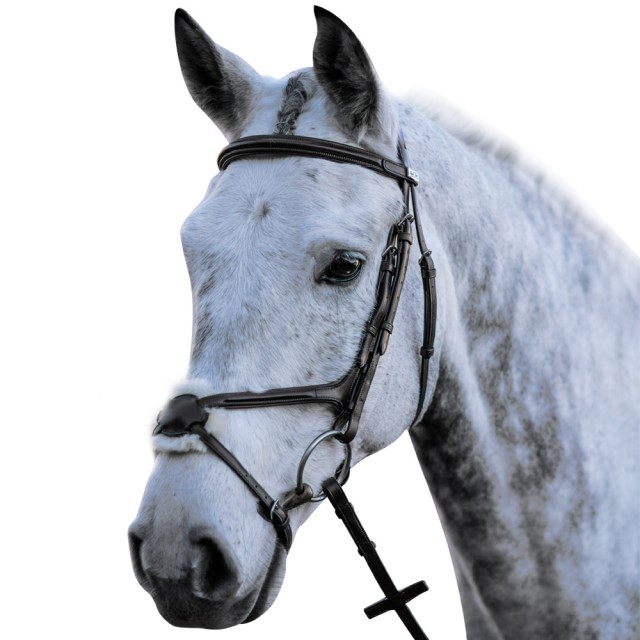 Mark Todd Performance Figure of 8 Bridle (Black)