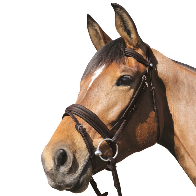 Mark Todd Padded Flash Bridle (Havana)