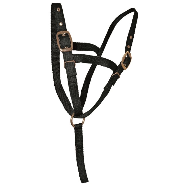 JHL Foal Slip (Black)