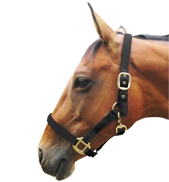 JHL Padded Headcollar (Black)