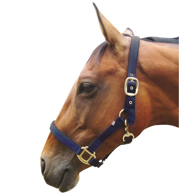 JHL Padded Headcollar (Navy)