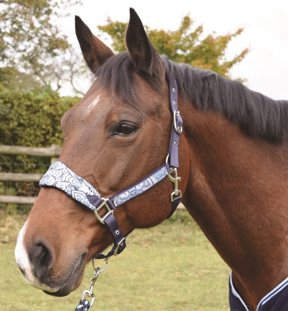 JHL Paisley Print Headcollar (Sky Blue & Navy)