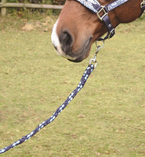 JHL Paisley Print Lead Rope (Sky Blue & Navy)