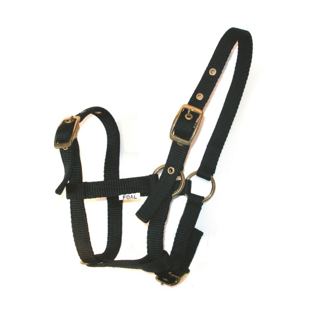 JHL Foal Headcollar (Black)