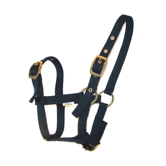 JHL Foal Headcollar (Navy)
