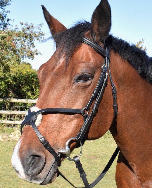 JHL Grackle Bridle (Black)