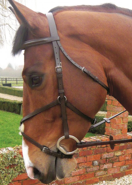 JHL Grackle Bridle (Brown)