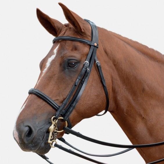 Albion KB Competition Weymouth Bridle with Crank (30mm thickness)