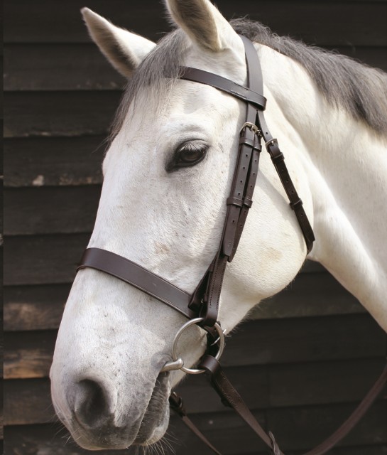 JHL Plain Cavesson Bridle (Brown)