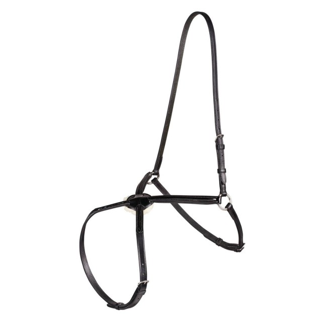 Caldene Grackle Noseband (Black Patent)