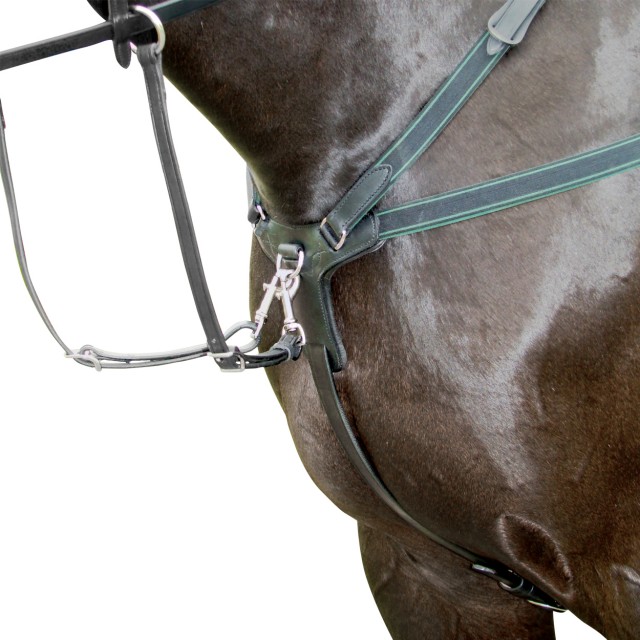 Amerigo Event 5Point Breastplate Wychanger Barton