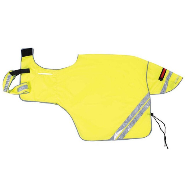 Harry Hall Hi Viz Ride on Exercise Sheet (Yellow)