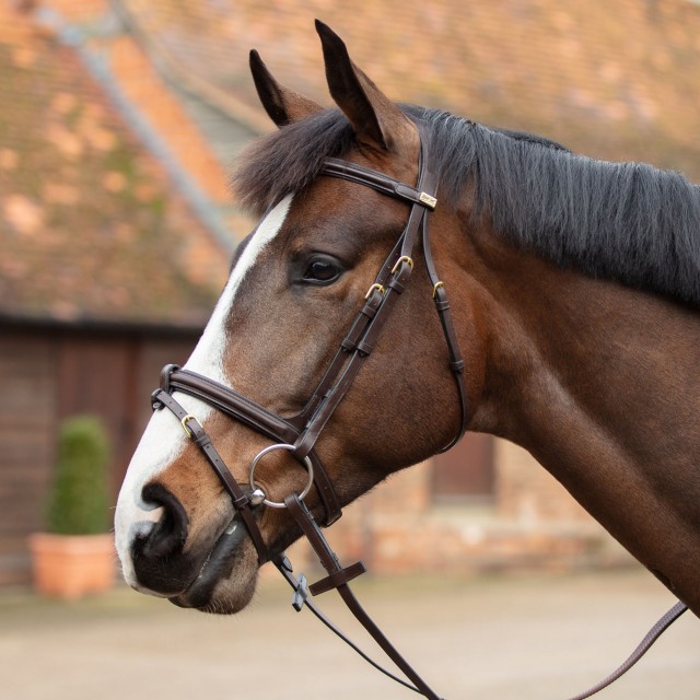 Mark Todd Performance Flash Bridle (Brass Fittings)