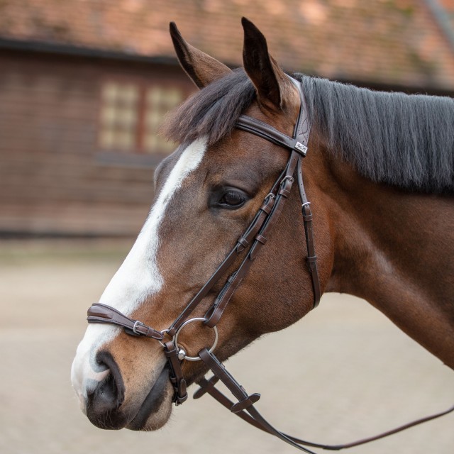 Mark Todd Bridle With German Drop Noseband