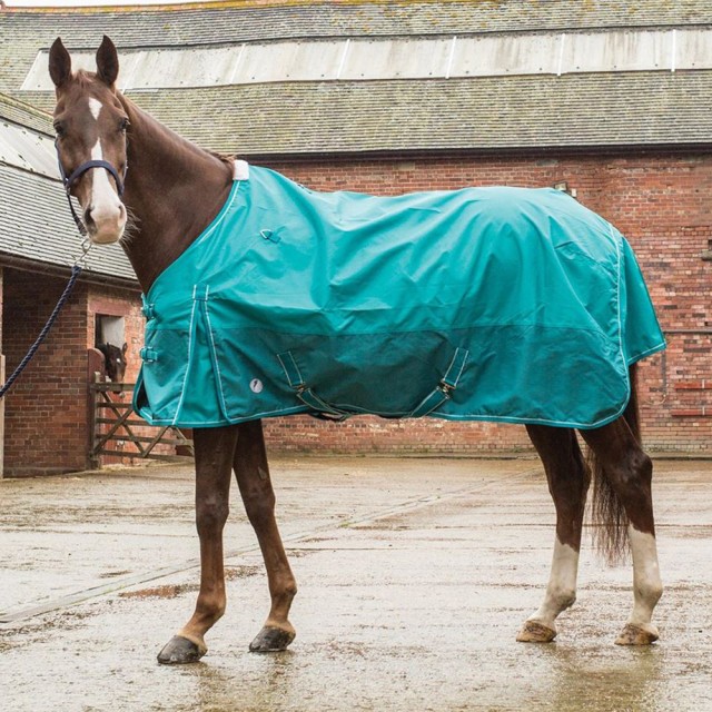 JHL Essential Mediumweight Turnout Rug (Turquoise)