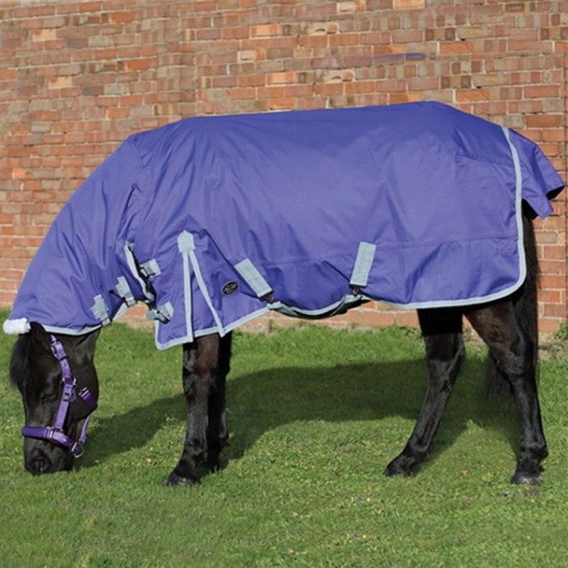 Mark Todd Mediumweight Pony Combo Turnout Rug (Purple & Grey)