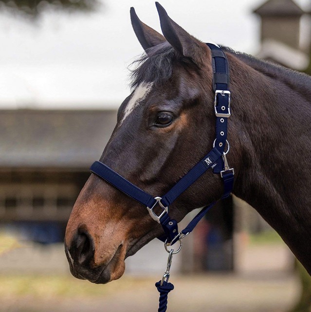 Mark Todd Deluxe Padded Headcollar With Leadrope (Navy)