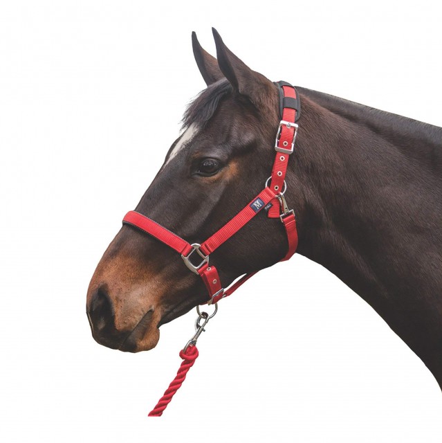 Mark todd sales headcollar