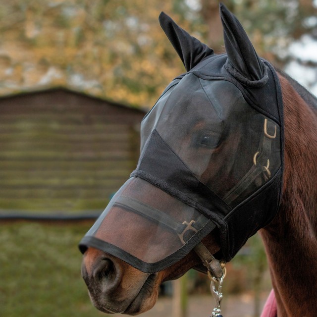 Mark Todd Padded Fly Mask With Nose and Ears (Black)