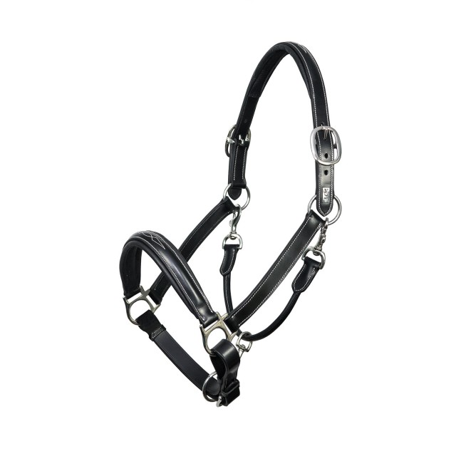 Mark Todd Leather Raised Fancy Stitch Headcollar (Black)