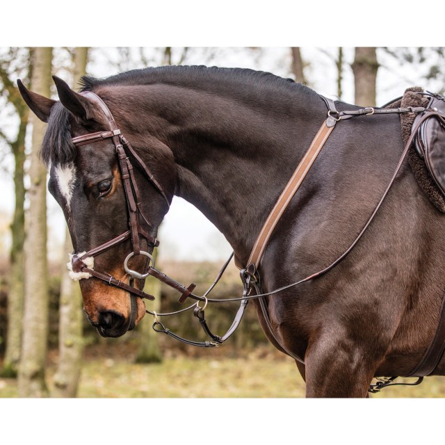 Mark Todd 3-Point Breastplate (Black/Brass Fittings)