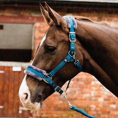 Mark Todd Fleece Lined Headcollar with Lead Rope (Petrol/Grey)