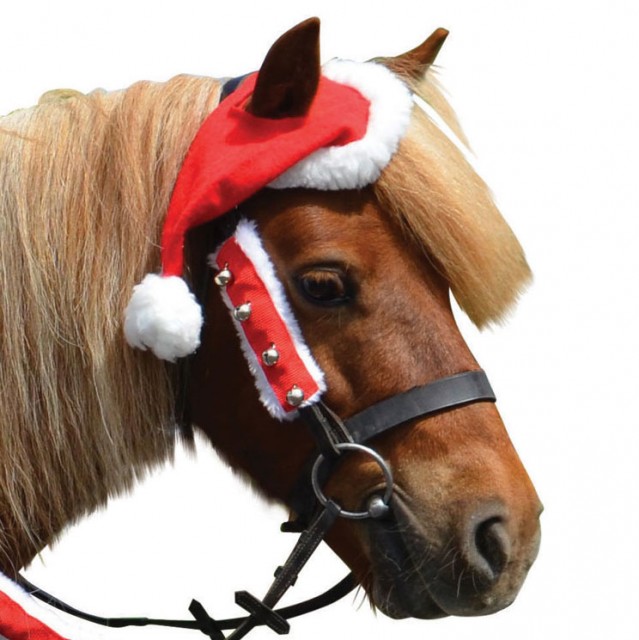 Hy Christmas Santa Bridle Set (Set of 2) (Red/White)