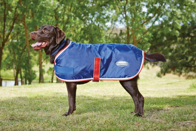 Weatherbeeta Comfitec Windbreaker 420d Dog Coat II (Navy/Red/White)