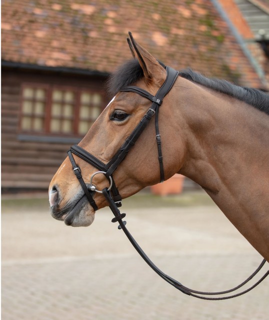 Mark Todd Leonidas Flash Bridle (Black)