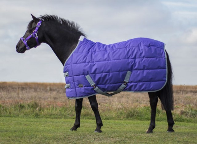 Mark Todd Pony Stable Rug (Purple/Grey)