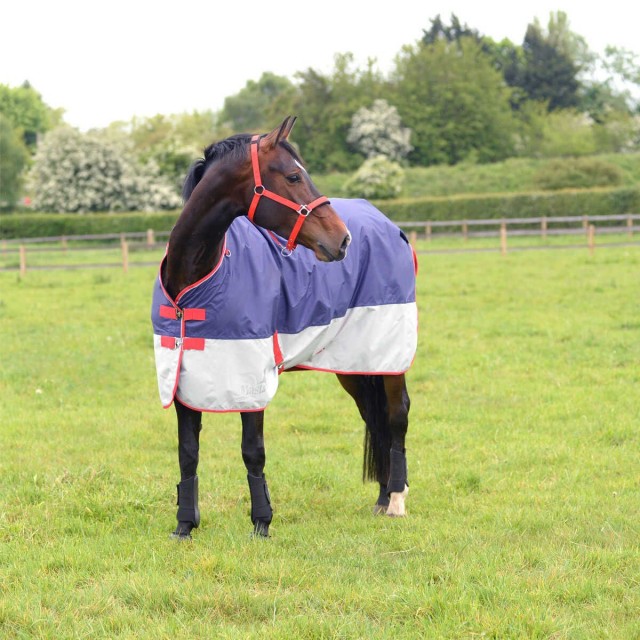 Masta Avante Light Standard Neck Turnout Rug (Navy/Grey)