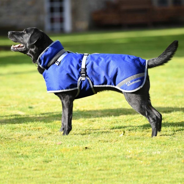 Woofmasta Deluxe Dog Coat (Navy)