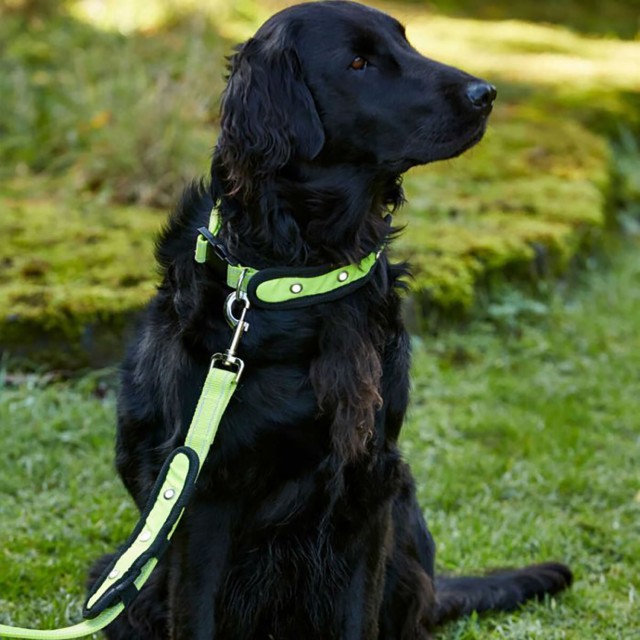 Woofmasta Hi-Viz Flashing Dog Lead (Flourescent Yellow)