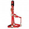 KM Elite Padded Headcollar (Red)