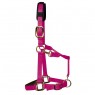 KM Elite Padded Headcollar (Raspberry)