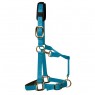 KM Elite Padded Headcollar (Pastel Blue)