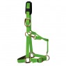 KM Elite Padded Headcollar (Hot Green)