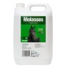 Molasses