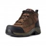 Ariat Women's Telluride Work Waterproof CT Boots (Distressed Brown)