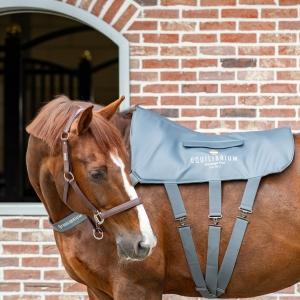 Christmas Gifting for you and your horse 🎁 Stuck for ideas? We've got you covered! with offers of...