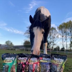 ✨ What's your horses favourite flavour? ✨ With 5 tasty flavours to choose from, don't forget to t...